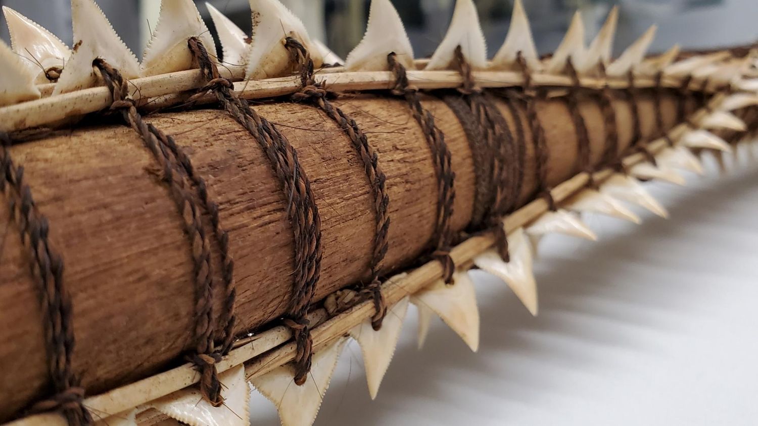 Shark-tooth spear