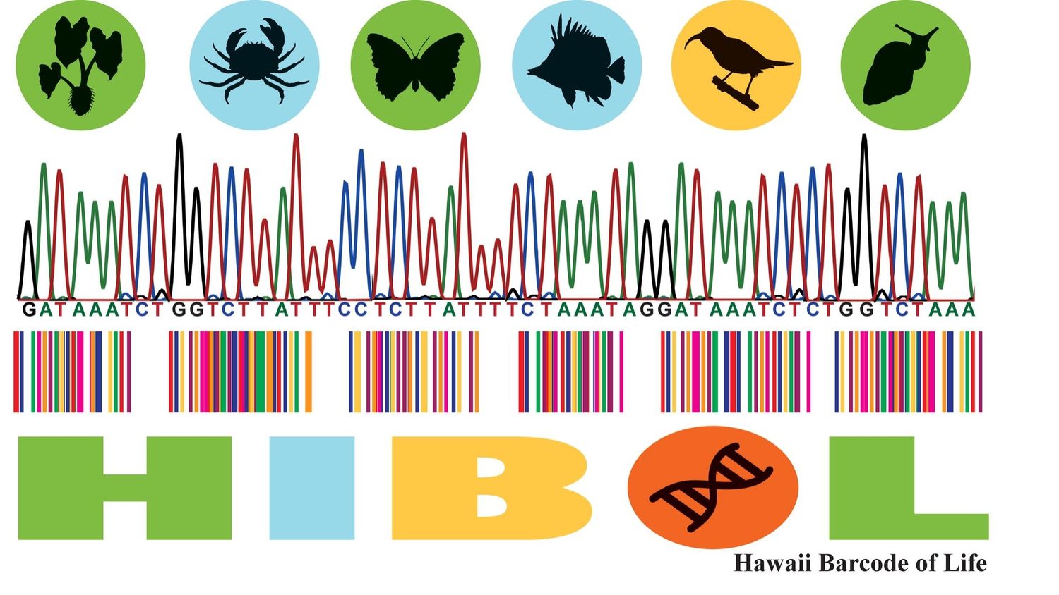 Hawai‘i Barcode of Life
